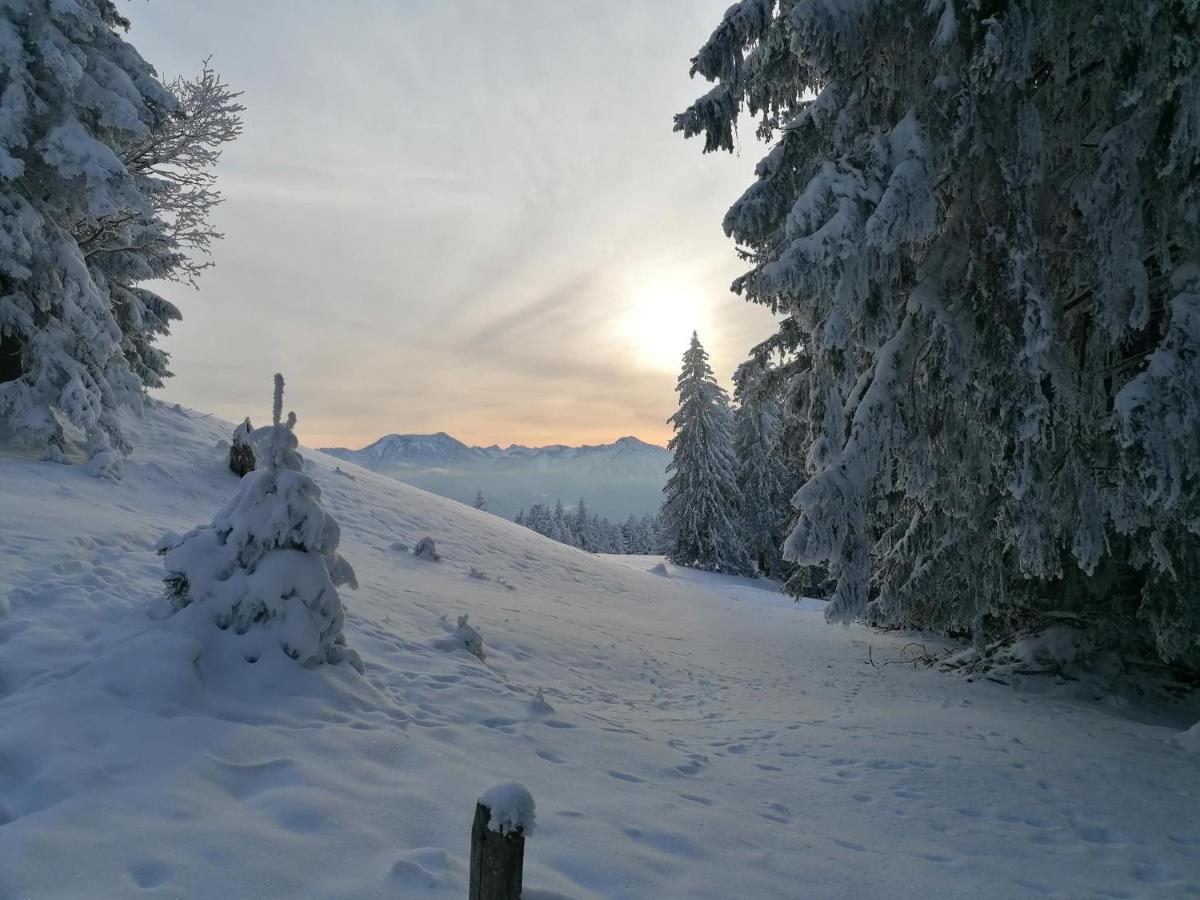 Ferienhaus Region Tegernsee ميسباش المظهر الخارجي الصورة