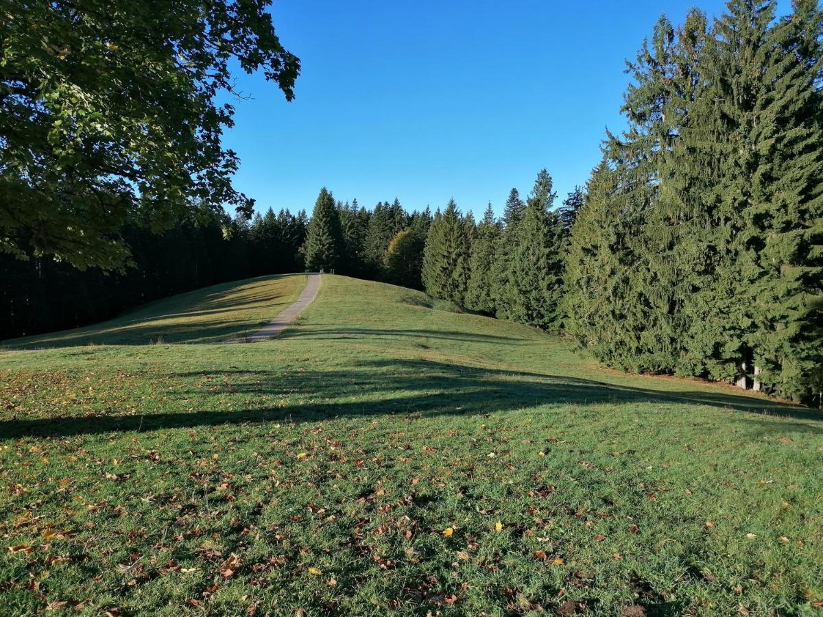 Ferienhaus Region Tegernsee ميسباش المظهر الخارجي الصورة